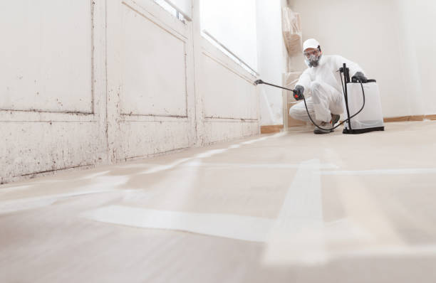24/7 Emergency Attic Mold Remediation experts in Duncansville, PA